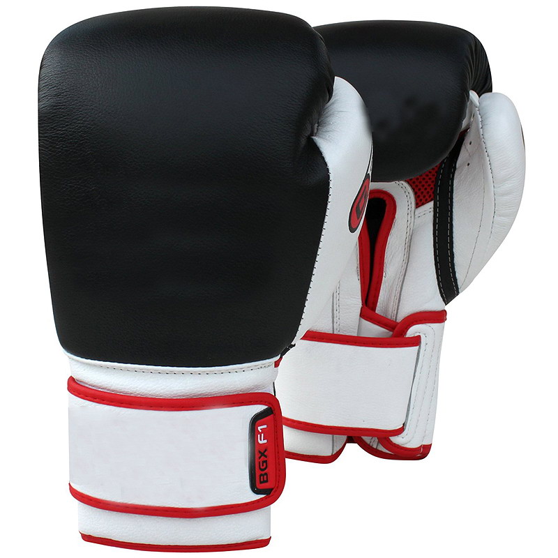 Boxing Bag Gloves Alam Impex International Boxing, Martial Arts